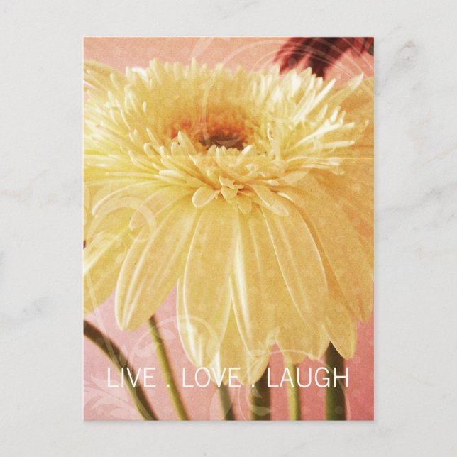 Live Love Laugh Gerbera Flower Light Grunge Postcard (Front)