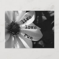 Live Love Run by Vetro Designs