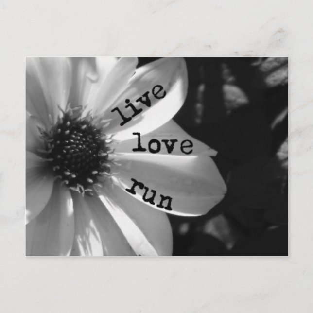 Live Love Run by Vetro Designs Postcard (Front)