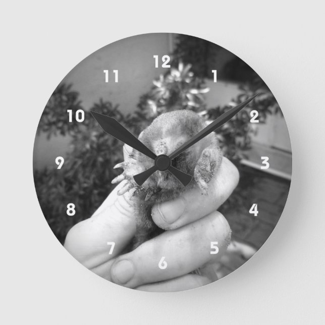 Live mole in hand smiling animal black white round clock (Front)