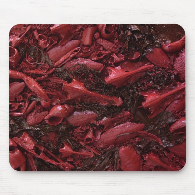 Live! Mouse Mat (Front)