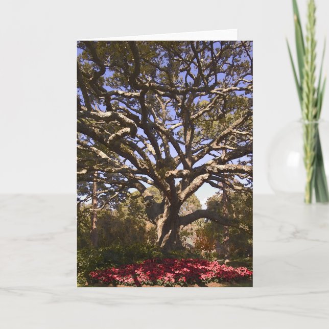 Live Oak and Poinsettias Holiday Card (Front)