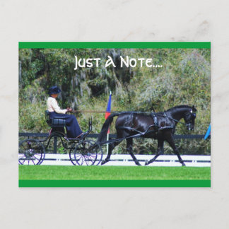 live oak cde postcard