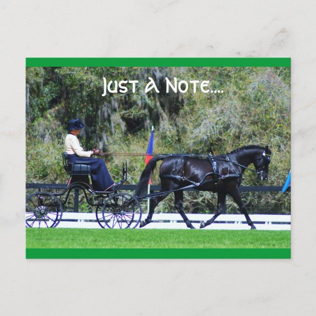 live oak cde postcard (Front)