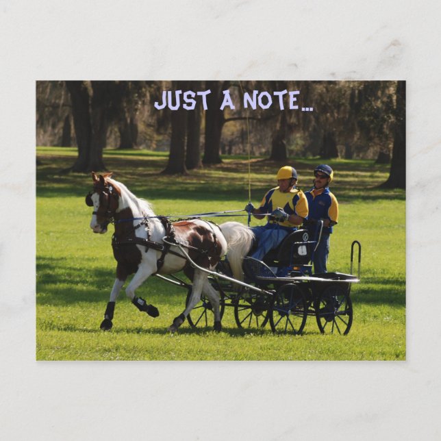 Live oak cde postcard (Front)