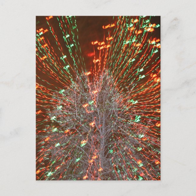 Live Oak Florida Tree Christmas Lights Zoom Holiday Postcard (Front)