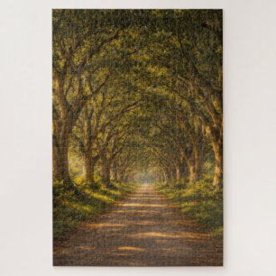 Live Oak Path Landscape Puzzle