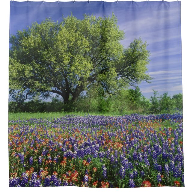 Live Oak & Texas Paintbrush, and Texas Shower Curtain (Front)