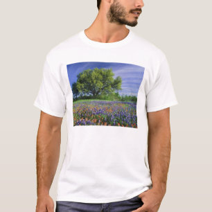 Live Oak & Texas Paintbrush, and Texas T-Shirt