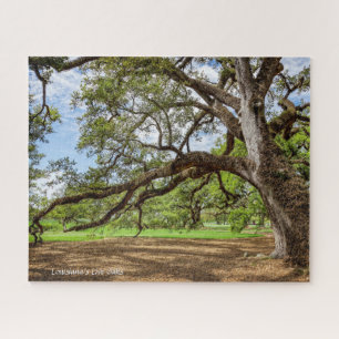 Live Oak Tree of Louisiana, Jigsaw Puzzle