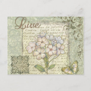 Live Postcard