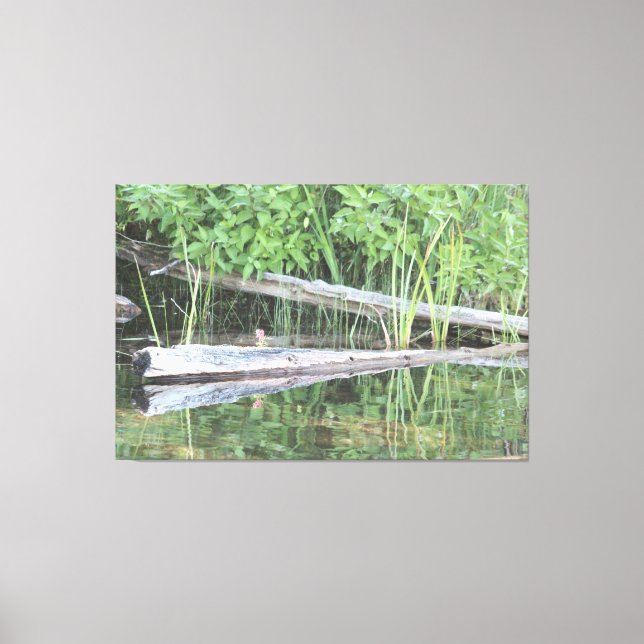 Live Reflection Canvas Print (Front)
