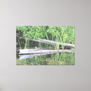 Live Reflection Canvas Print