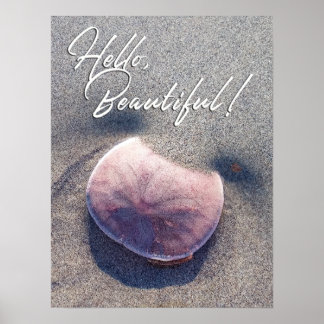 Live Sand Dollar Photo Hello Beautiful Poster