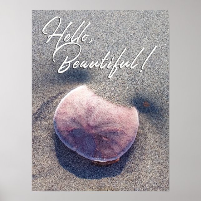 Live Sand Dollar Photo Hello Beautiful Poster (Front)