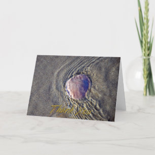 Live Sand Dollar Photo Thank You Card