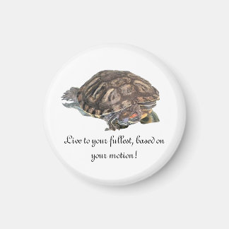 Live to your...,  magnet