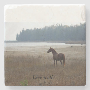 "Live Well" Morgan horse Stone Coaster