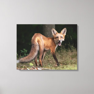 Live With Spirit    Canvas Print