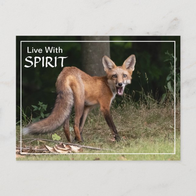 Live With Spirit   Postcard (Front)