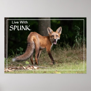 Live With SPUNK Poster