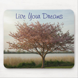 Live Your Dreams Mousepad