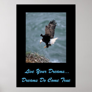 Live Your Dreams Poster