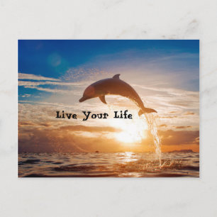 Live Your Life Motivation Postcard