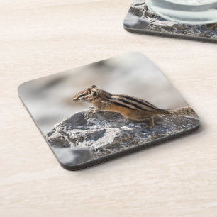 Lively Chipmunk – Forest Animal Artwork Coaster