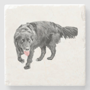 Lively Eyes, Red Tongue Stone Coaster