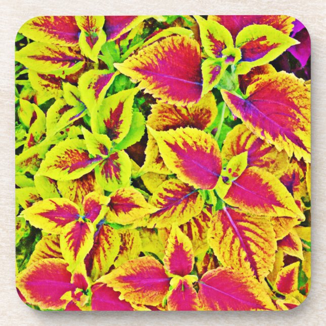 Lively Leaves Pattern Dance Coaster (Front)