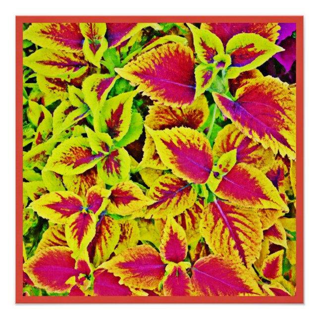 Lively Leaves Pattern Dance Poster (Front)