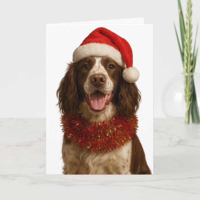 Liver and white Springer Spaniel Christmas card (Front)