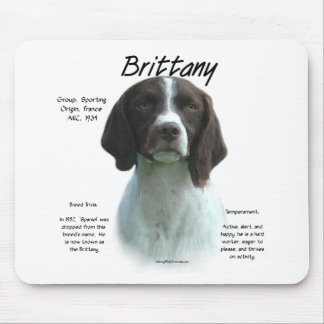 Liver Brittany Spaniel History Mouse Mat