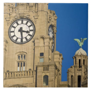 Liver Building, Liverpool, Merseyside, England Tile