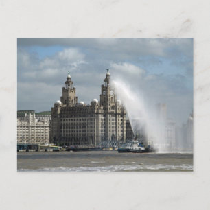 Liver Building Liverpool - Postcard
