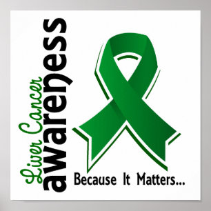 Liver Cancer Awareness 5 Poster