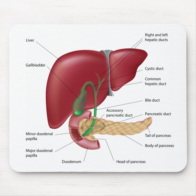 Liver pancreas diagram Mousepad (Front)