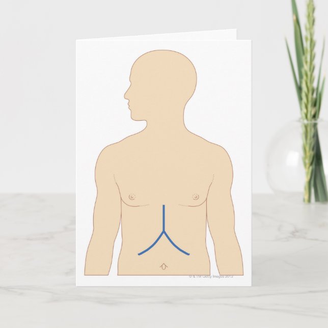 Liver Transplant Card (Front)