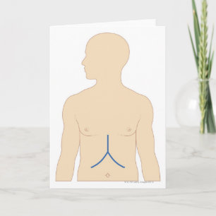 Liver Transplant Card