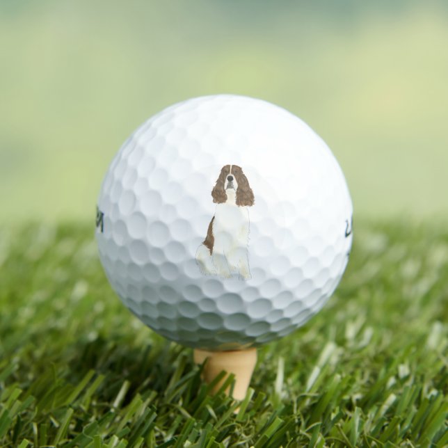 Liver & White English Springer Spaniel Golf Balls (Insitu Tee)