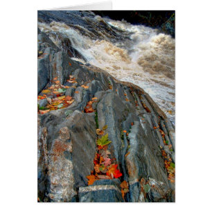 Livermore Leaves: Card