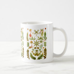 Liverworts Coffee Mug