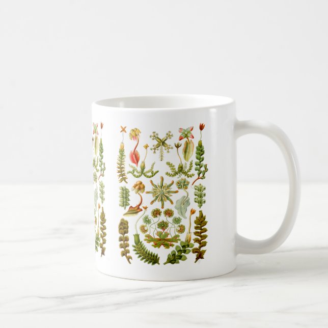 Liverworts Coffee Mug (Right)