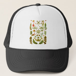 Liverworts Trucker Hat