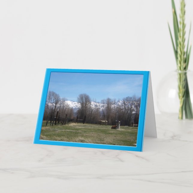 Livestock and Ruby Mountains Thank You Card (Front)