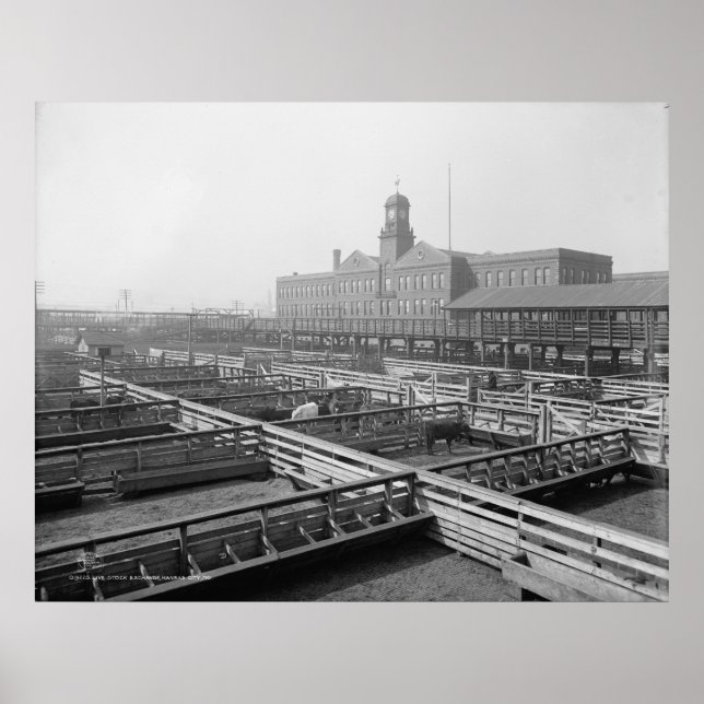 Livestock Exchange Poster (Front)