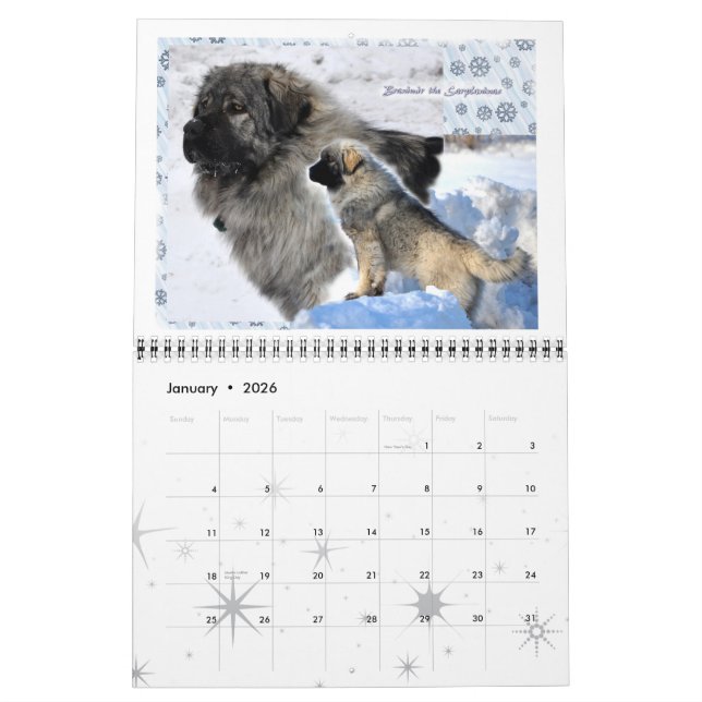 Livestock Guardian Dogs 2015 standard size Calendar (Jan 2026)