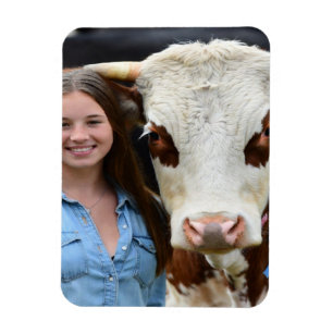 Livestock Show Cow Photo Customize Magnet