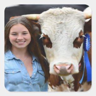 Livestock Show Cow Photo Customize Square Sticker